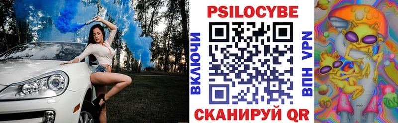 Псилоцибиновые грибы GOLDEN TEACHER  omg зеркало  Курчалой 
