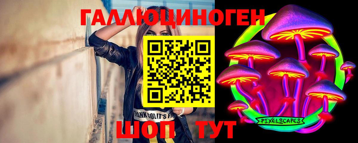 Курчалой  Галлюциногенные грибы мухоморы  Галлюциногенные грибы Cubensis  сколько стоит  Вход с VPN 