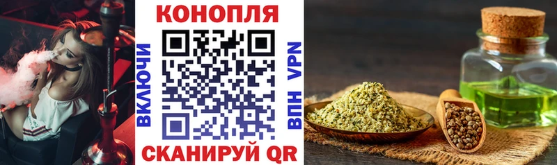 закладки  Курчалой  Марихуана план 
