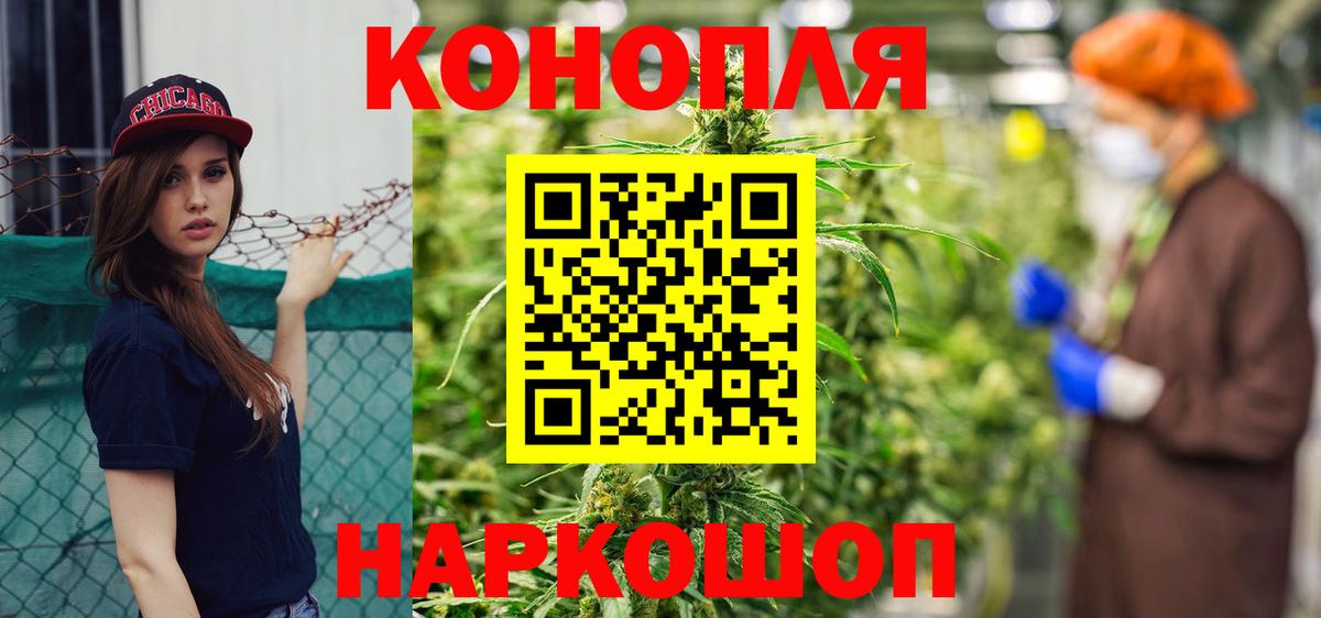 Каннабис планчик Курчалой